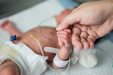 Understanding Neonatal Care: What Are Neonates and Why Is Their Health So Crucial?