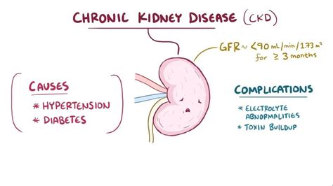 Understanding What Are Overactive Kidneys: A Simple Guide