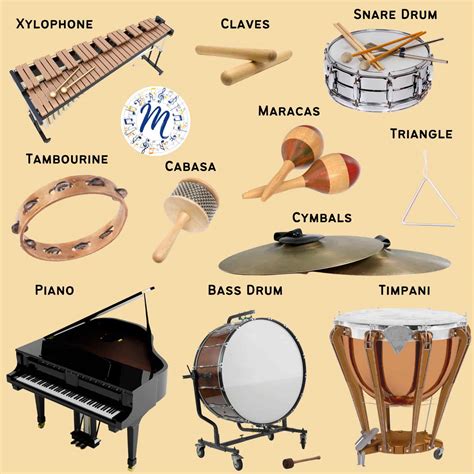 what are percussions instruments