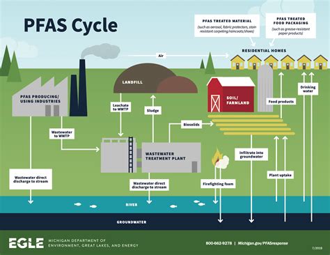 what are pfos and pfas related to water