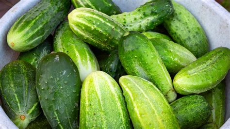 What Are Pickling Cucumbers Called