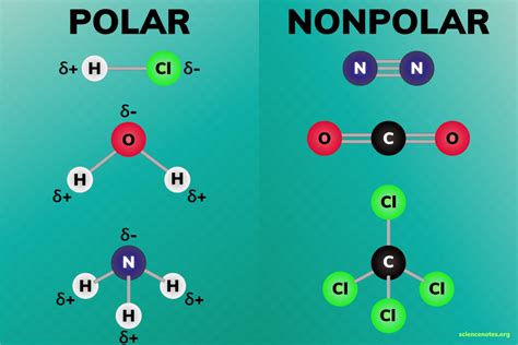 what are polar and non polar molecules with examples