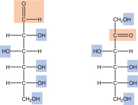 What Are Polyhydroxy Aldehydes
