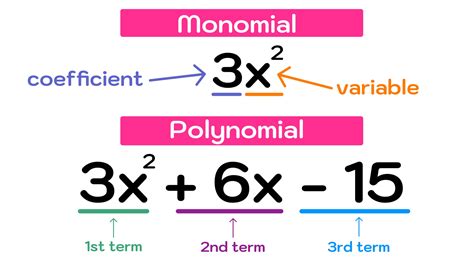 what are polynomials in mathematics