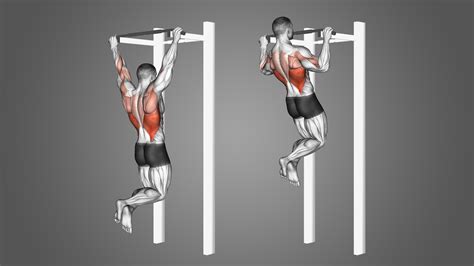 What Are Pull Ups Exercise