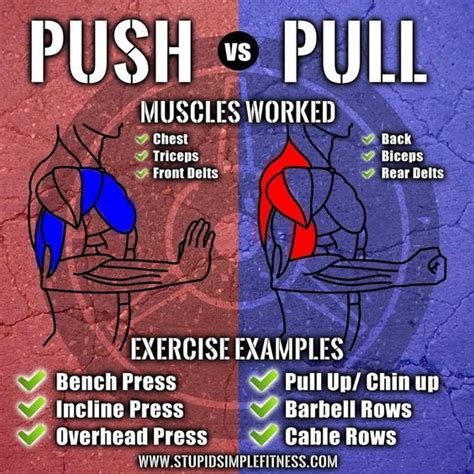 Push Vs Pull Exercises  What You Need To Know