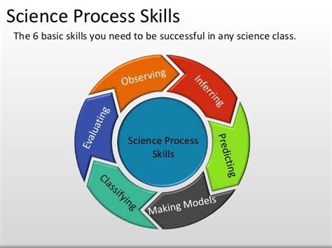 what are science process skills examples