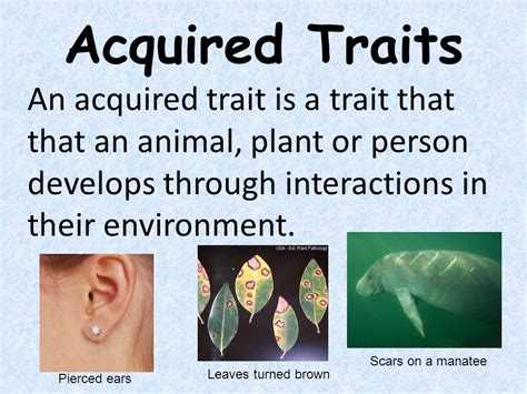 what are some examples of acquired traits in animals