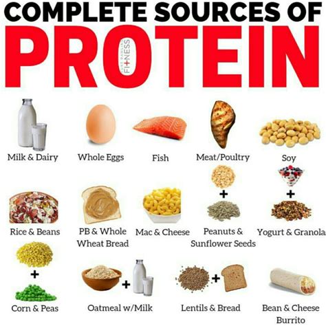 what are some examples of complete protein sources