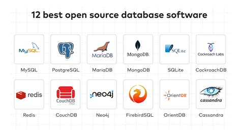what are some examples of database programs