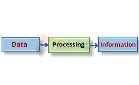 what are some examples of information being processed in a computer