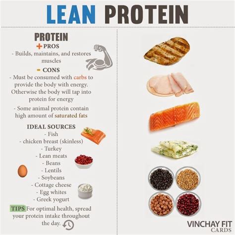 what are some examples of lean protein sources