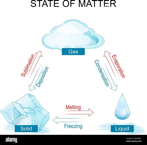 what are some examples of matter in the liquid phase