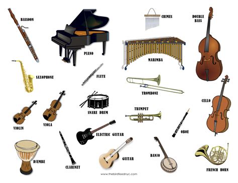 what are some examples of musical instruments