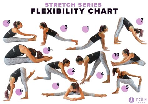 what are some flexibility exercises