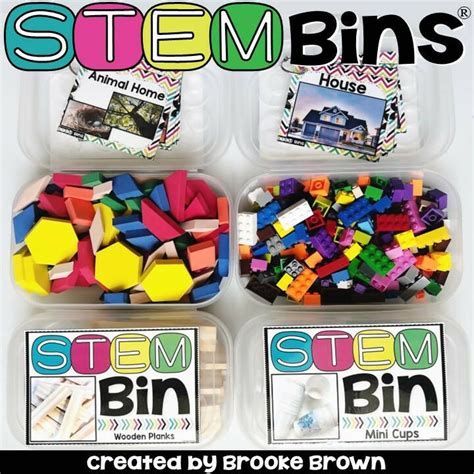 What Are Stem Bins