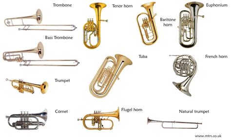 What Are String Instruments Woodwind Instruments Brass Instruments Percussion Instruments