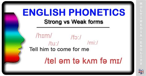 what are strong and weak forms in phonetics