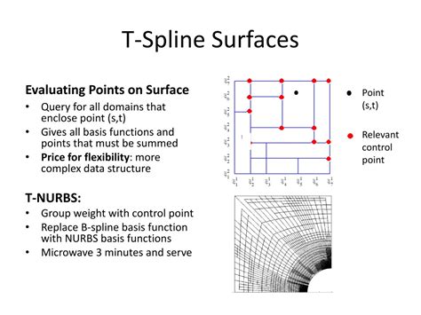 What Are T Splines