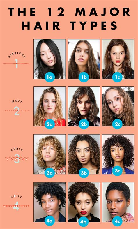 Free What Are The 12 Different Hair Types For New Style