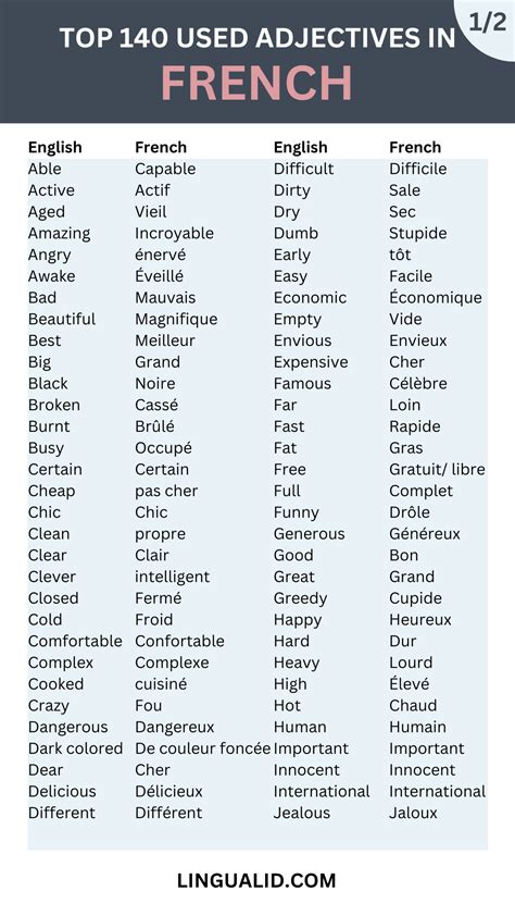 what are the 20 adjectives in french with meaning