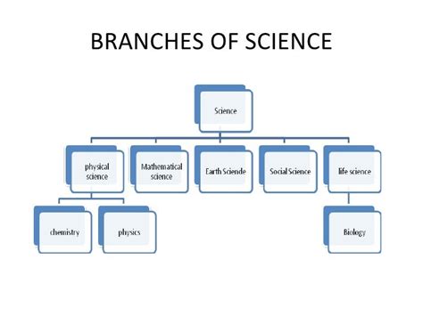 what are the 25 branches of science with examples