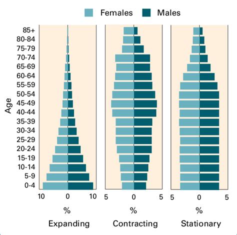 what are the 3 types of population pyramids with examples