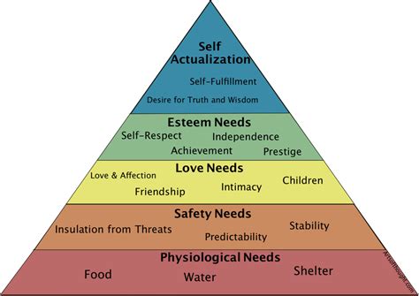 what are the 5 basic needs in a relationship