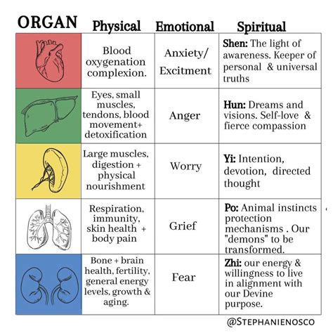 What Are The 5 Spirits