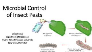What Are The Advantages Of Using Microorganisms To Control Insect Pests