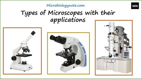 What Are The Applications Of Microscope