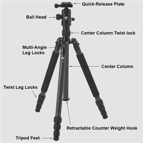 What Are The Basic Components Of A Tripod