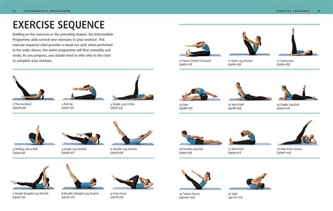 What Are The Basic Exercises