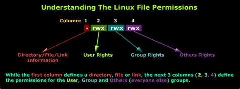 what are the basic linux file permissions