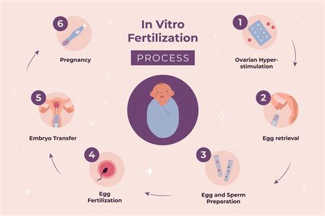 what are the basic processes of ivf and pgd