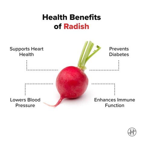 what are the benefits of eating radishes