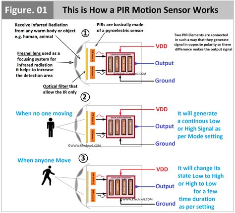 What Are The Components Of A Motion Sensor