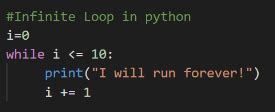 what are the conditions for infinite loop in python give example