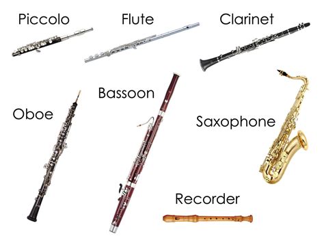 What Are The Different Examples Of Woodwind Instruments