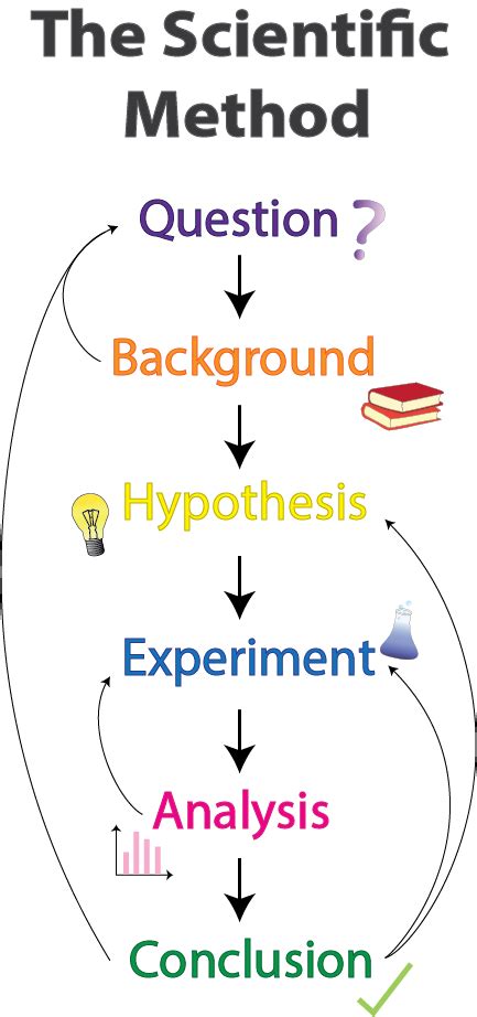 what are the different steps of scientific method with examples