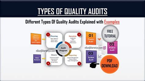 what are the different types of audit program