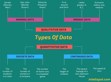 What Are The Different Types Of Data Classification