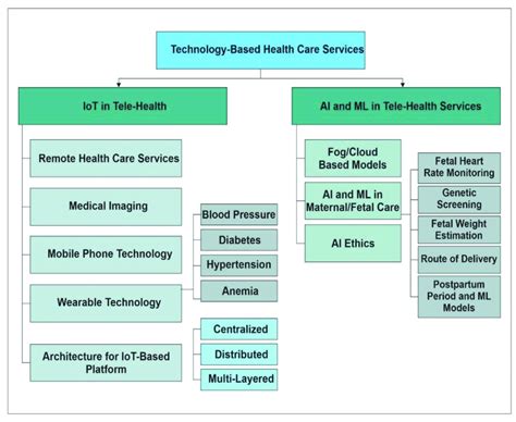 what are the different types of health services