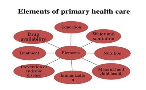 what are the elements of primary health care at least