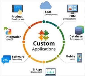 What Are The Examples Of Customized Application Software