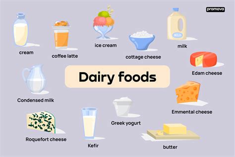 what are the examples of dairy foods