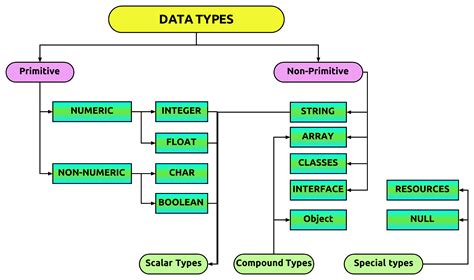what are the examples of data types