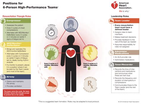 what are the examples of effective team dynamics in cpr