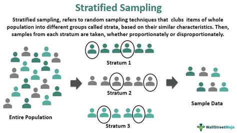 What Are The Examples Of Stratified Sampling