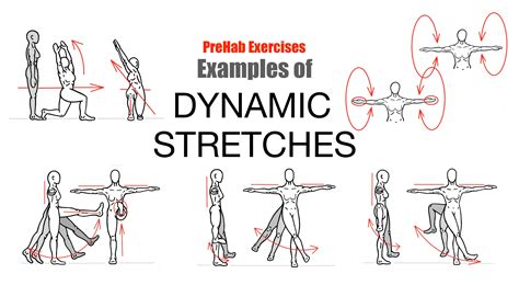 what are the examples of stretching exercise